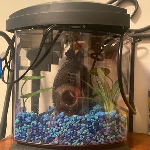 Betta fish tank and accessories 🐟